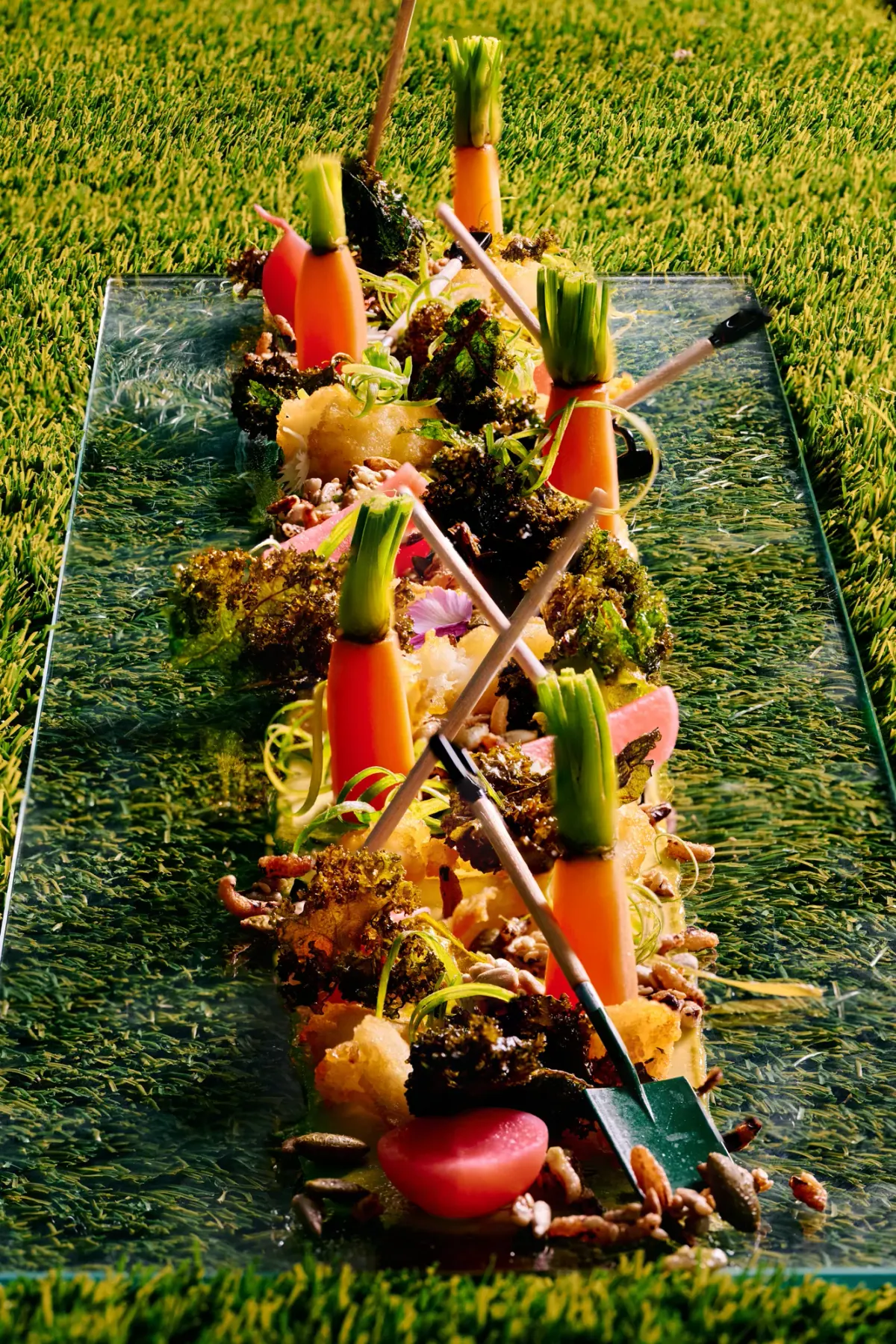 Baby carrots and garden bites laid down a glass board on the grass table